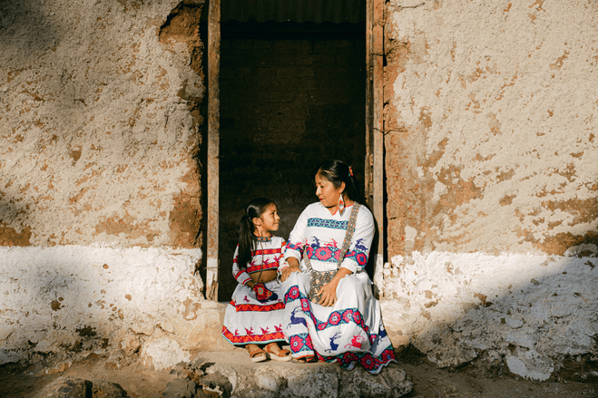 Beyond the Port: Cruise Passengers Discover Nayarit From Puerto Vallarta header image