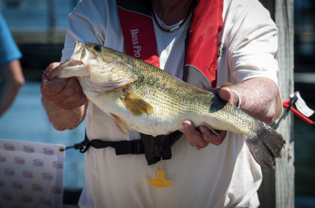 Spring Big Bass Bash Pays Huge Prize Money to Amateur Anglers North