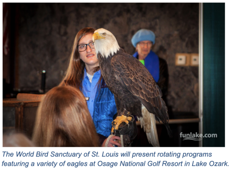 2024 Lake Of The Ozarks Eagle Days North American Travel Journalists   Image 1 768x569 