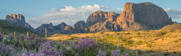 Visit Big Bend